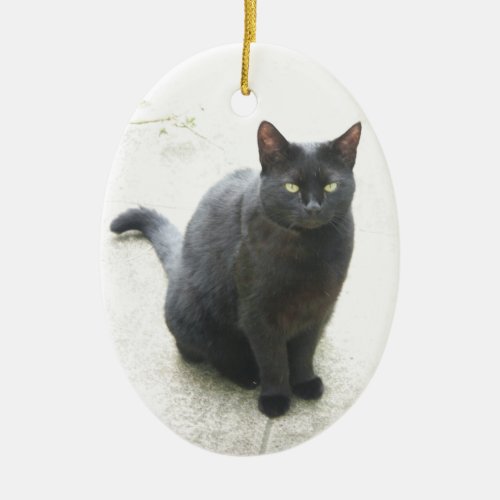 Black Cat Ceramic Ornament