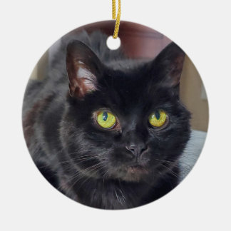 Black cat ceramic ornament