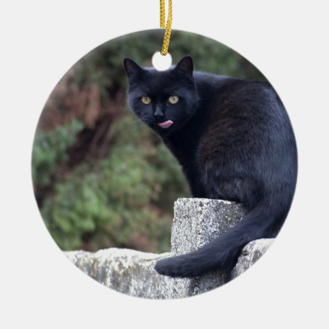 Black Cat Ceramic Ornament (Front)