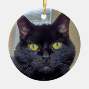 Black cat ceramic ornament