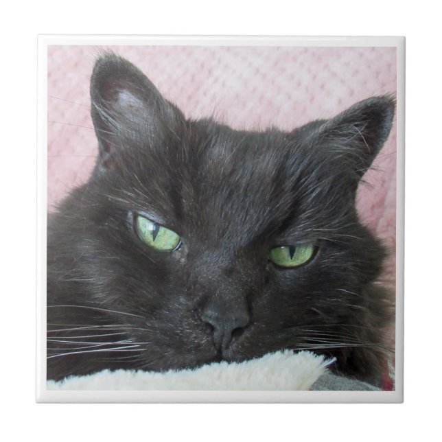 Black Cat Ceramic Tile (Front)