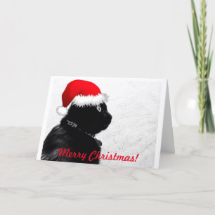 Black Cat Christmas Card