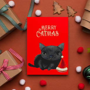 Black Cat Christmas Card