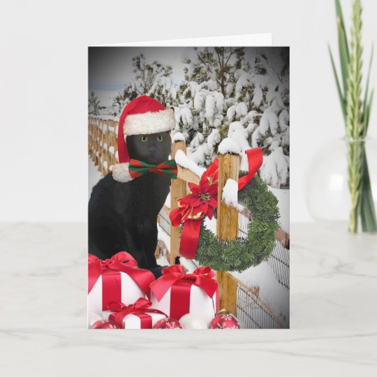 Black Cat Christmas Cards