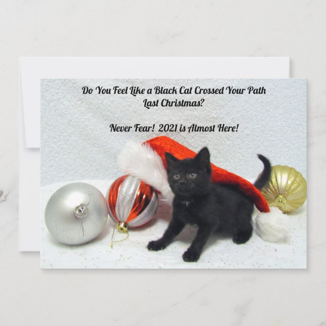 Black Cat Christmas - Humor  - Flat Christmas Card (Front)