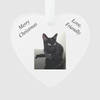 Black Cat Christmas Ornament