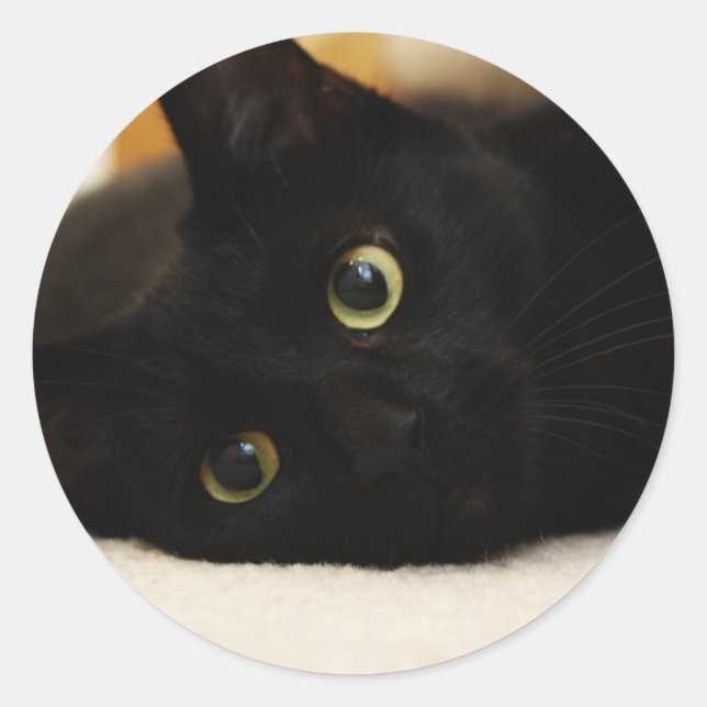 Black Cat Classic Round Sticker (Front)