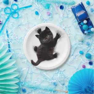 Black Cat Climbing On Human Back Paper Plates