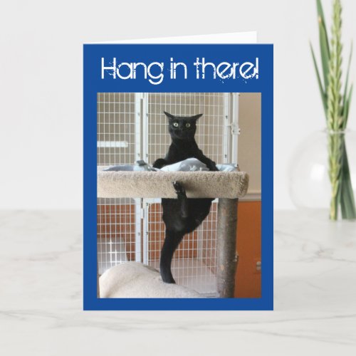 Black Cat Clinging to Cat Tree Card