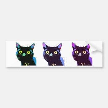 Black Cat Club Bumper Sticker by WeAreBlackCatClub at Zazzle