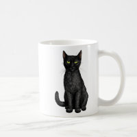 Black cat