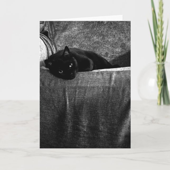 Black Cat Comfy Greeting Cards (Front)