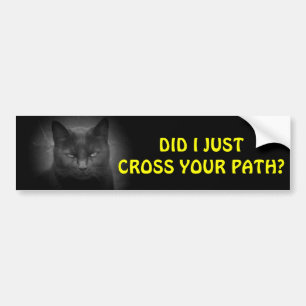 Black Cat crossed you path Bumper Sticker