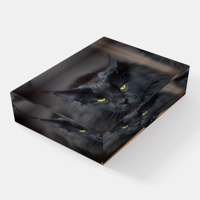 Black Cat Cute Kitty Cat Paperweight (Angled)