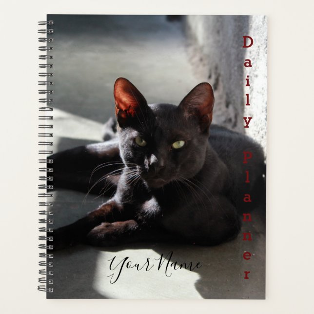 Black Cat - Daily Planner- HAMbWG Planner (Front)