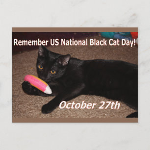 Black cat day postcard