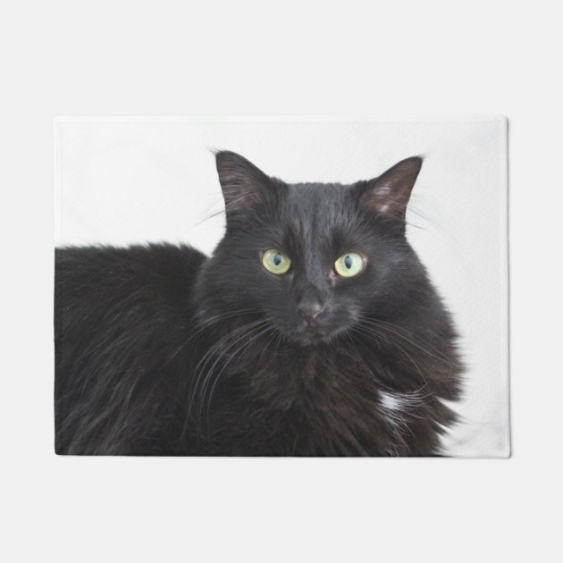 ED Black Cat Door At Non-Slip Natural Coir Indoor & Outdoor Welcoe - View #11
