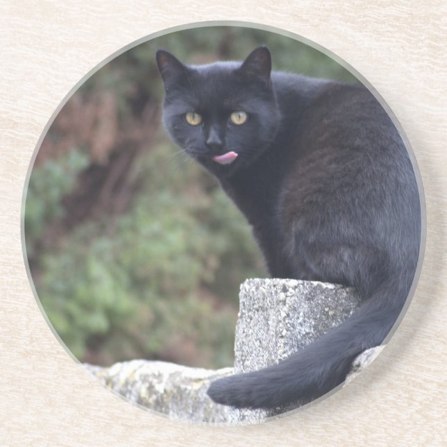 Black Cat Drink Coaster (Front)