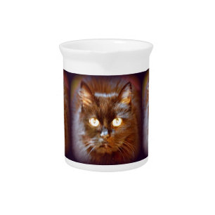 black cat drink pitcher