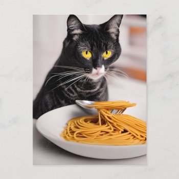 Black Cat Eating Spaghetti Postcard by angelandspot at Zazzle