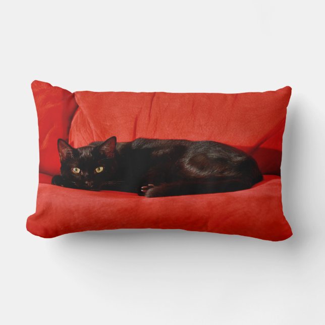 Black Cat Edgar Lumbar Pillow (Front)