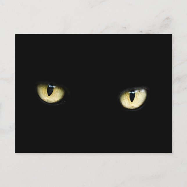 black cat eyes postcard (Front)