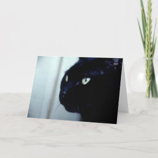 Black Cat Face Card