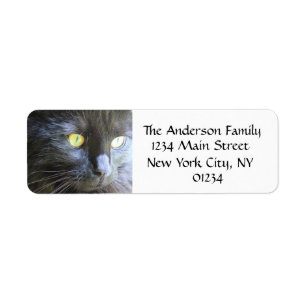 Black Cat Face, Return Address Labels
