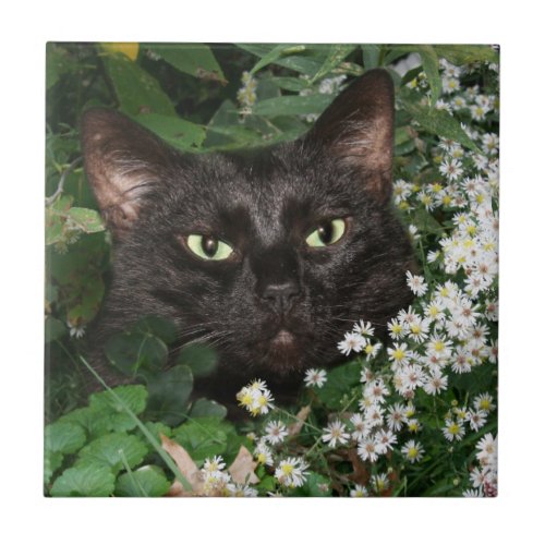 Black cat face tile