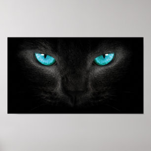 Black Cat Face with Turquoise Eyes Poster