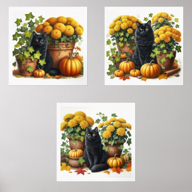 Black Cat Fall Season Flowers Pumpkins  Wall Art Sets (Front)