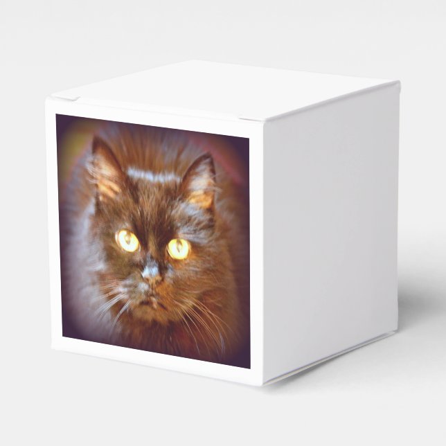 black cat favor boxes (Front Side)