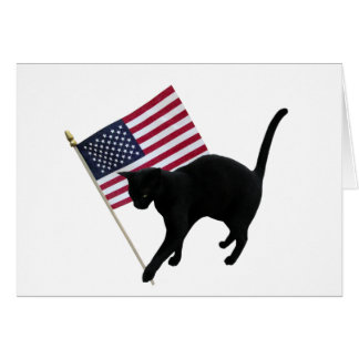 Black Cat Flag Cards