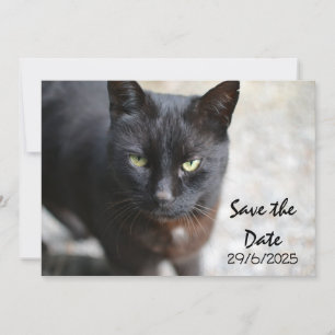 Black Cat Folded Save The Date Invitation Card