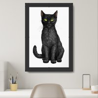 Black cat