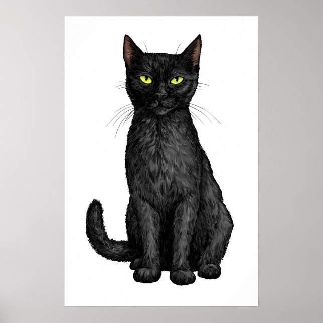 Black cat framed art (Front)