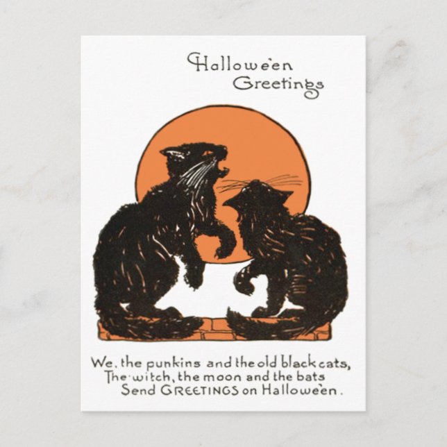 Black Cat Full Moon Orange Black Postcard (Front)