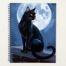 Black Cat | Full Moon Pet Painting
