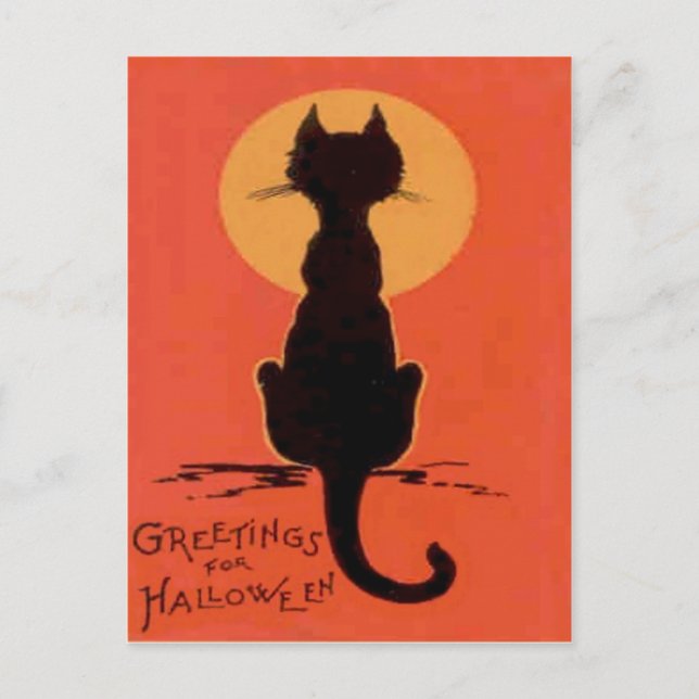 Black Cat Full Moon Yellow Orange Postcard (Front)
