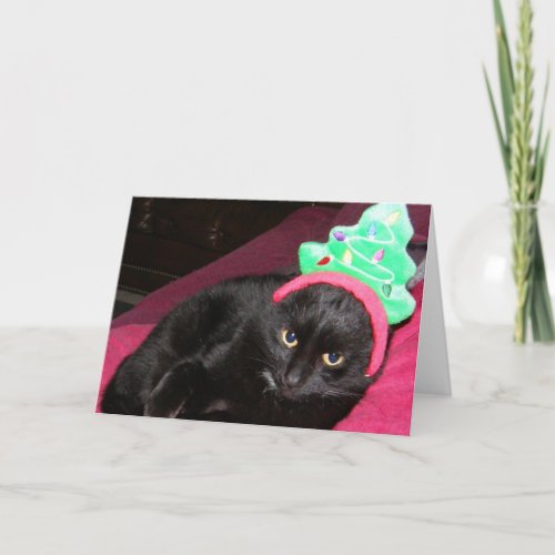 Black Cat Funny Holiday Card Bah Humbug