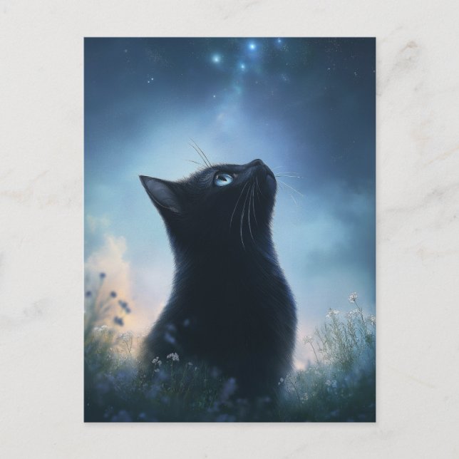 Black Cat Gazing at Star Constellation Night Sky Postcard (Front)