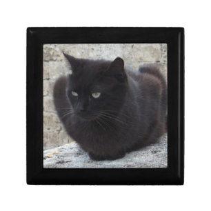 Black Cat gift / jewelry / trinket box