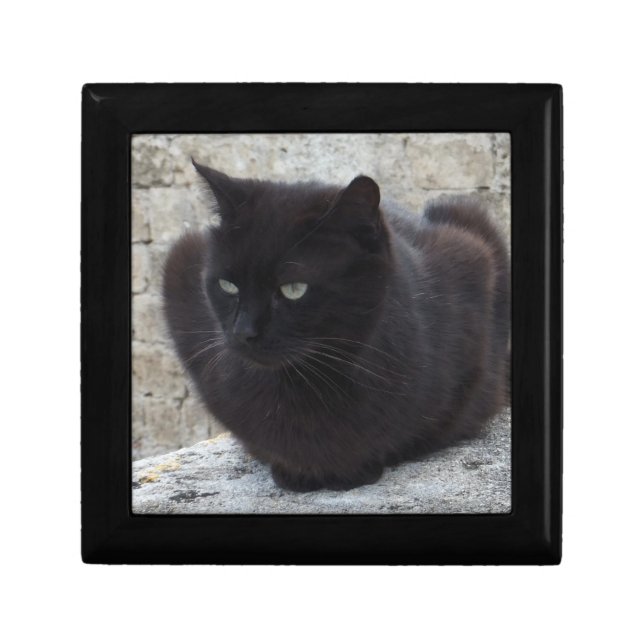 Black Cat gift / jewelry / trinket box (Front)