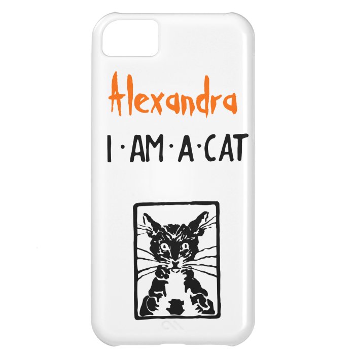 Black Cat Gifts iPhone 5C Case