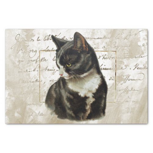 Black Cat Gold French Script Gold Frame Vintage  Tissue Paper