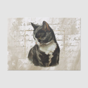 Black Cat Gold French Script Gold Frame Vintage Tissue Paper