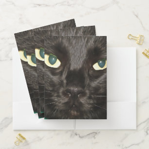 Black Cat Gorgeous Artistic Pet Portrait Pocket Folder