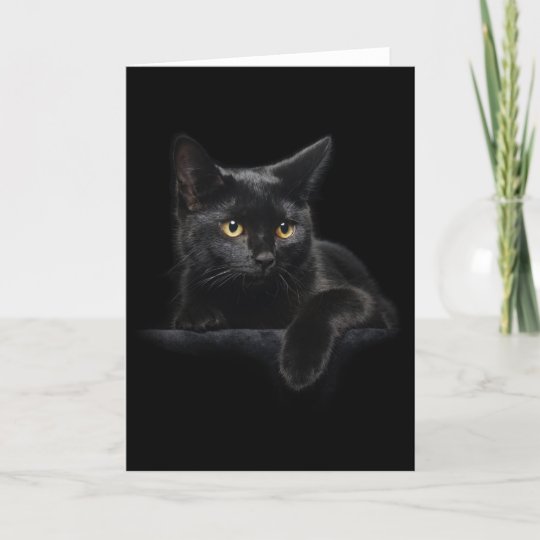 Black Cat Greeting Card | Zazzle.com