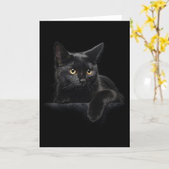 Black Cat Greeting Card | Zazzle