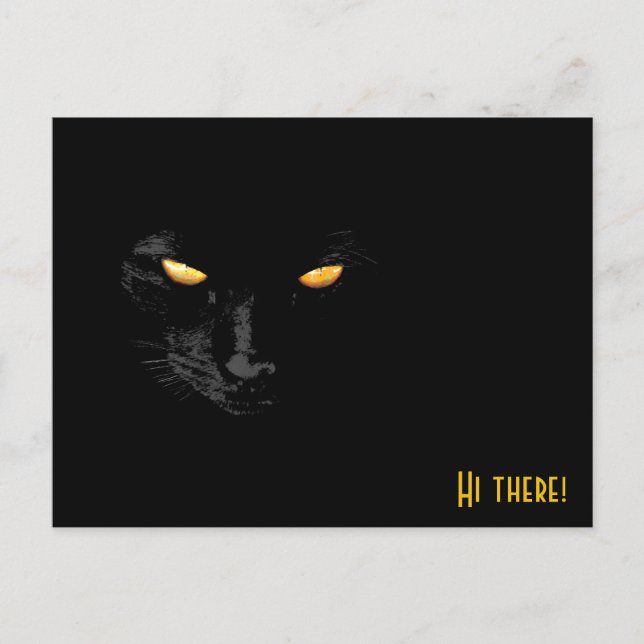 Black Cat greetings funny customizable Postcard (Front)